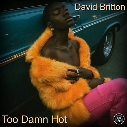 David Britton - Too Damn Hot / Funky Revival