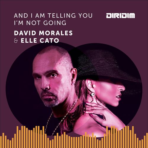 David Morales & Elle Cato - And I Am Telling You I'm Not Going / Diridim