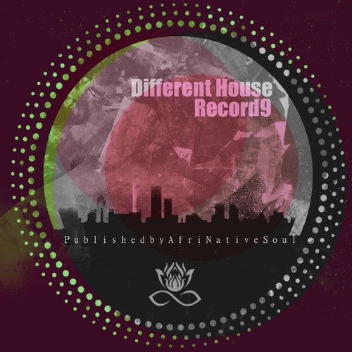 VA - Different House Record9 / Afrinative Soul