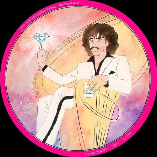 Pink Flamingo Rhythm Revue - Diamond Man / toucan sounds