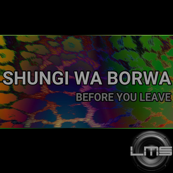 Shungi Wa Borwa - Before You Leave / LadyMarySound International