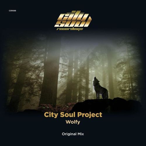 City Soul Project - Wolfy / City Soul Recordings