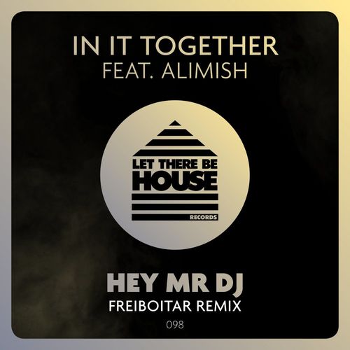 In It Together ft Alimish - Hey Mr DJ (Freiboitar Remix) / Let There Be House Records