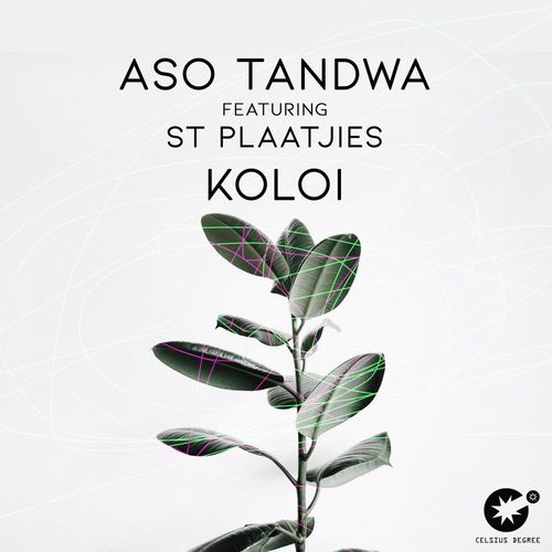 Aso Tandwa ft St Plaatjies - Koloi / Celsius Degree Records