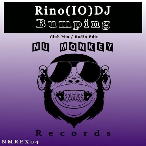 Rino(IO)DJ - Bumping / Nu Monkey Records