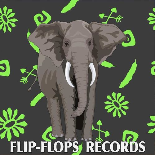Lel - Breakthrough / Flip-Flops Records