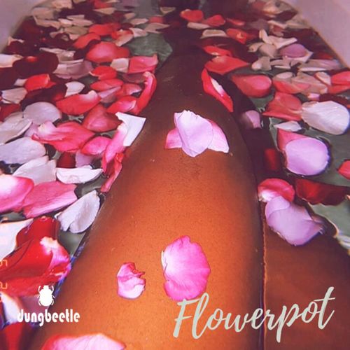 Itu - Flowerpot Mixes / Dung Beetle Records
