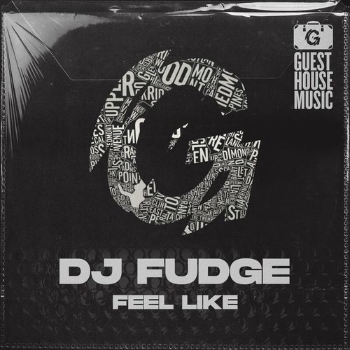 DJ Fudge - Feel Like / Guesthouse Music
