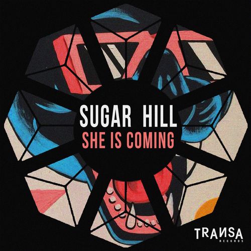 Sugar Hill - She is Coming / TRANSA RECORDS