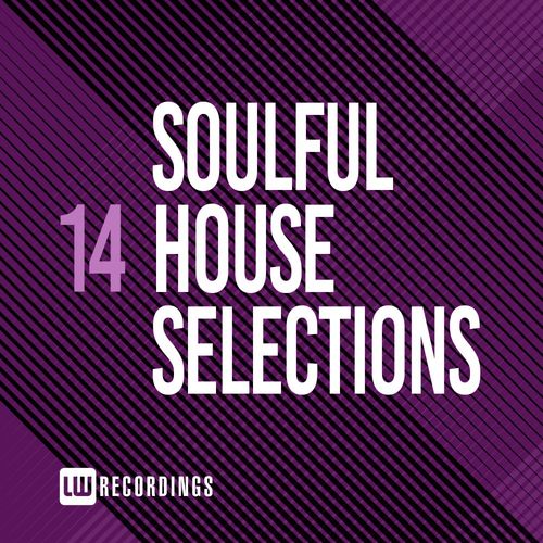 VA - Soulful House Selections, Vol. 14 / LW Recordings