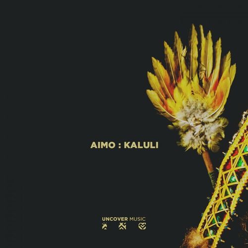 Aimo - Kaluli / Uncover Music
