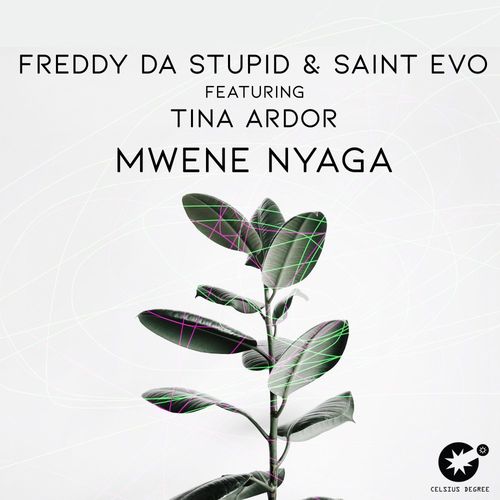 Freddy da Stupid & Saint Evo ft Tina Ardor - Mwene Nyaga / Celsius Degree Records