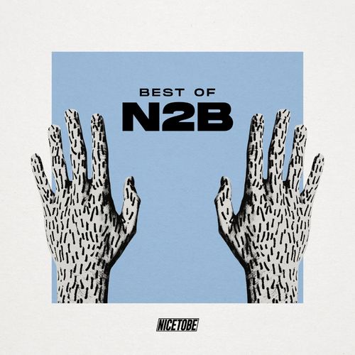 VA - Best Of N2B / Nice To Be Records