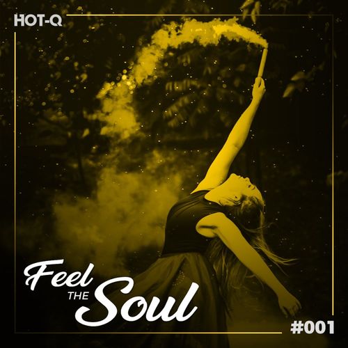 VA - Feel The Soul 001 / HOT-Q