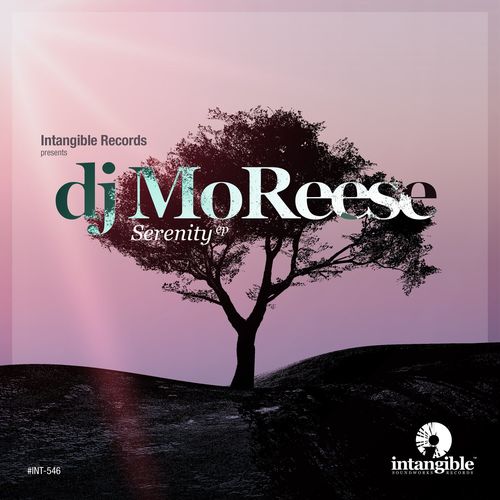 DJ MoReese - Serenity / Intangible Records
