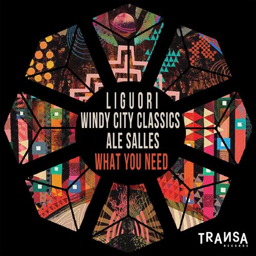 Liguori, Ale Salles, Windy City Classics - What You Need / TRANSA RECORDS