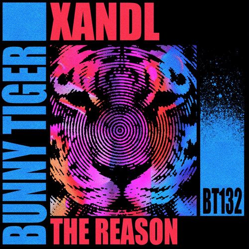 Xandl - The Reason / Bunny Tiger