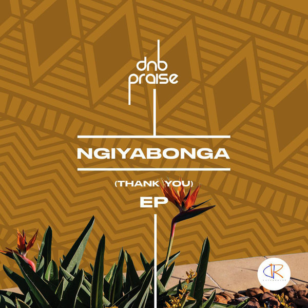 dNb Praise - Ngiyabonga (Thank You) EP / Dav Risen Enterprise (PTY) LTD