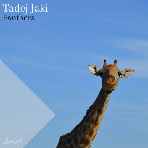 Tadej Jaki - Panthera / Sujet Musique