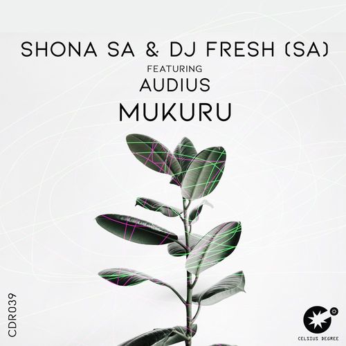 Shona SA, DJ Fresh (SA), Audius - Mukuru / Celsius Degree Records
