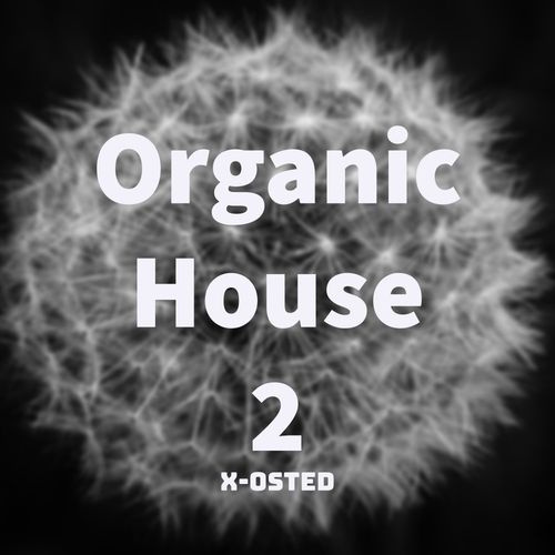 VA - Organic House 2 / X-Osted