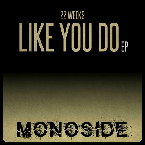 22 weeks - Like You Do EP / MONOSIDE