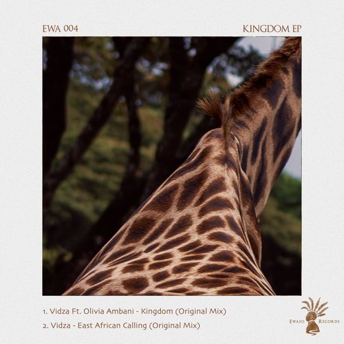 Vidza - Kingdom / Ewaso Records
