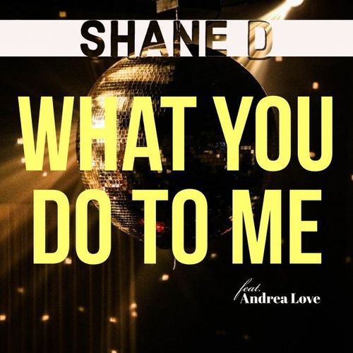 Shane D & Andrea Love - What You Do to Me / Stereo Flava Records