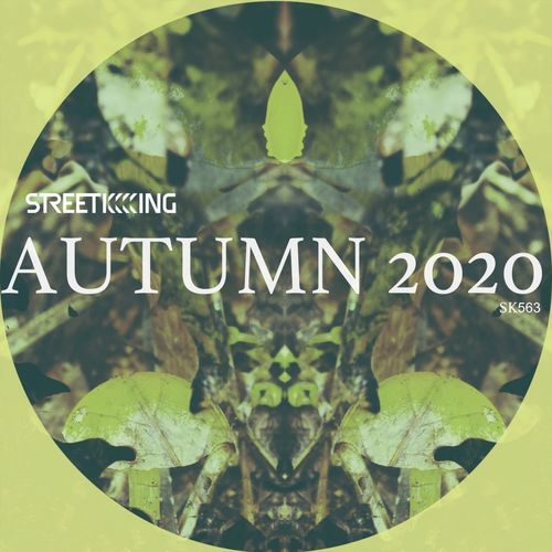 VA - Street King presents Autumn 2020 / Street King
