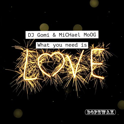 DJ Gomi & Michael Moog - What You Need is Love / Dopewax Records
