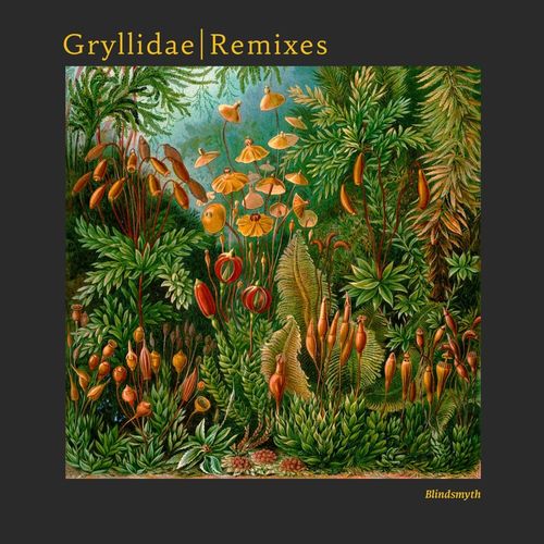 Blindsmyth - Gryllidae Remixes / Connaisseur Recordings