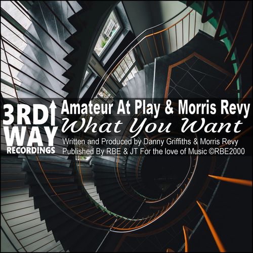 Amateur At Play & Morris Revy - What You Want / 3rd Way Recordings