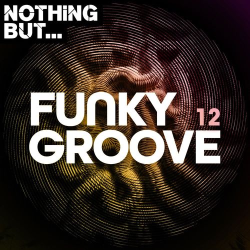 VA - Nothing But... Funky Groove, Vol. 12 / Nothing But