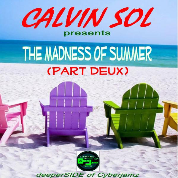 CalvinSol - The Madness Of Summer (Part Deux) / Deeper Side of Cyberjamz Records