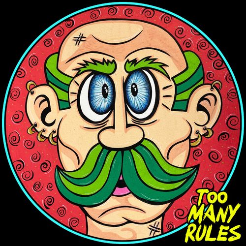 VA - Mr. Groove / Too Many Rules