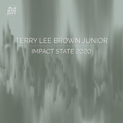 Terry Lee Brown Junior - Impact State 2020 / Plastic City