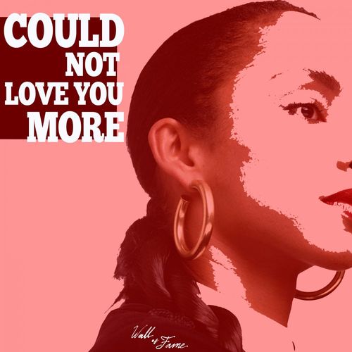 P-Sol - Could Not Love You More / Wall Of Fame