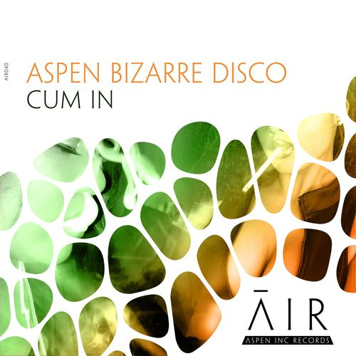 aspen bizarre disco - Cum In / Aspen Inc Records