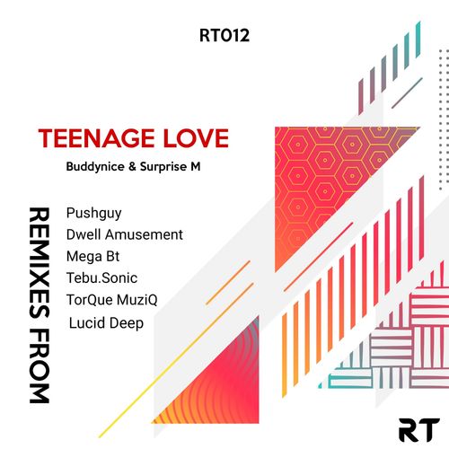 Buddynice & Surprise M - Teenage Love Remixes / Redemial Tunes