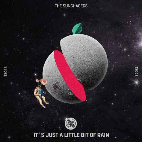 The Sunchasers - It's Just A Little Bit Of Rain / Tree Sixty One