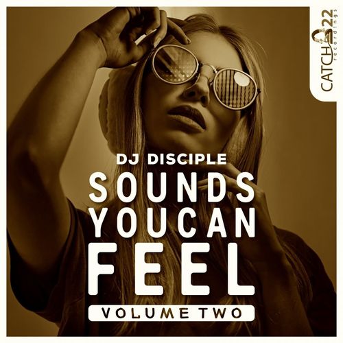 VA - Sounds You Can Feel, Vol. 2 / Catch 22