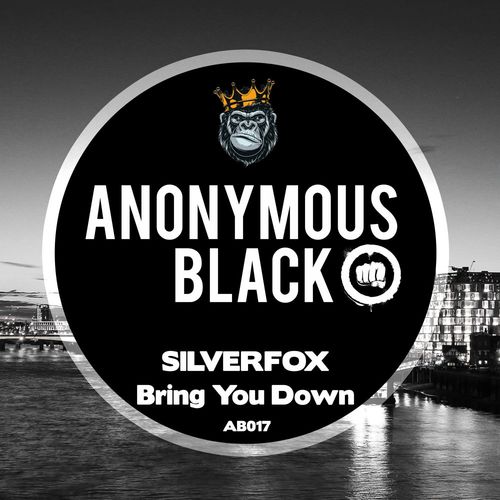Silverfox - Bring You Down / Anonymous Black