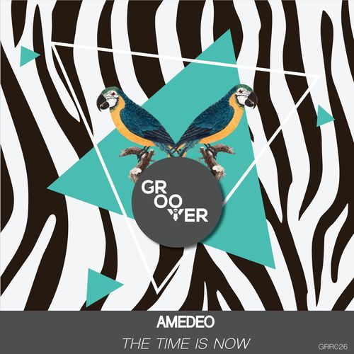 Amedeo - The Time Is Now / Groover Records