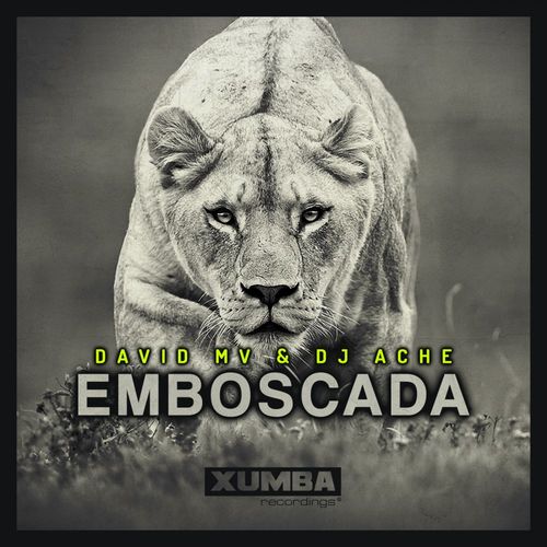 David Mv & Dj Ache - Emboscada / Xumba Recordings