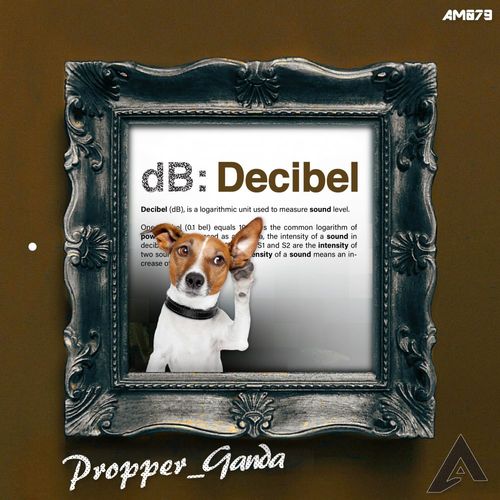 Propper_Ganda - Decibels / AfroMove Music