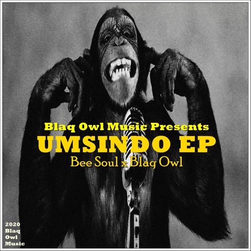 Bee Soul & Blaq Owl - Umsindo EP / Blaq Owl Music