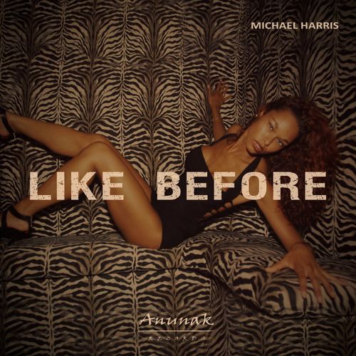 Michael Harris - Like Before / Anunak