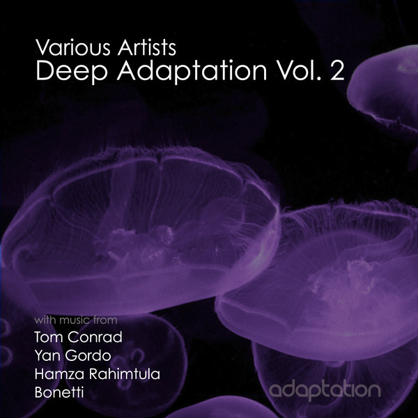 VA - Deep Adaptation Vol. 2 / Adaptation Music