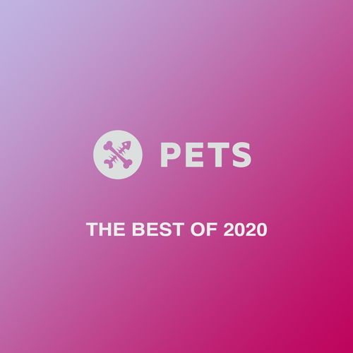VA - The Best Of Pets 2020 / Pets Recordings