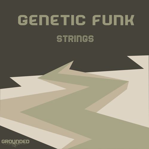 Genetic Funk - Strings / Grounded Records
